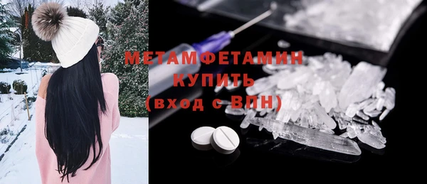 прущие грибы Горняк