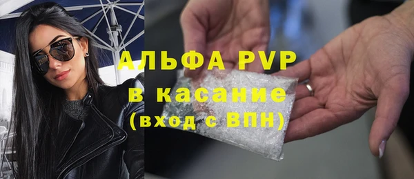 прущие грибы Горняк