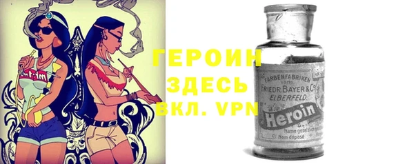 прущие грибы Горняк
