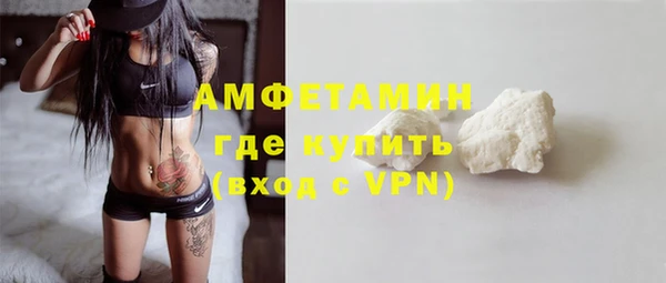 прущие грибы Горняк
