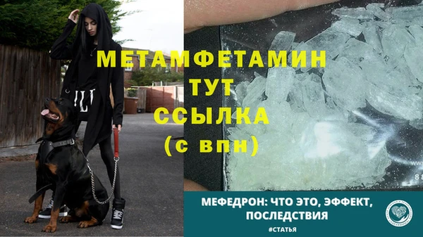 прущие грибы Горняк