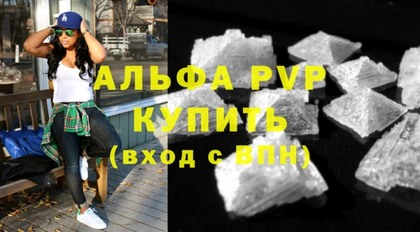 прущие грибы Горняк