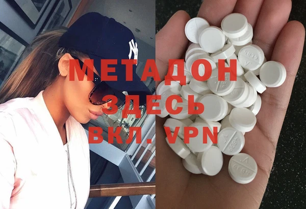 прущие грибы Горняк