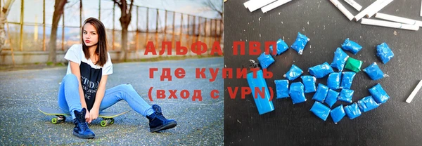прущие грибы Горняк