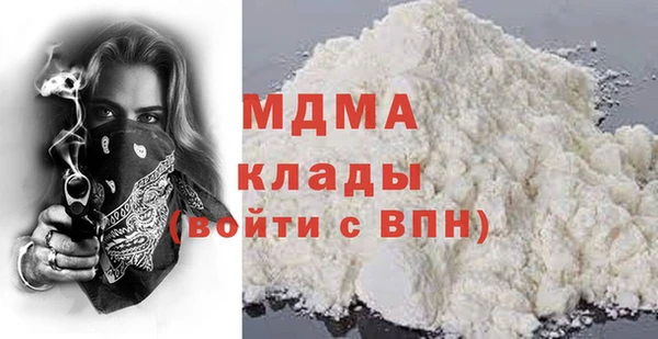 прущие грибы Горняк