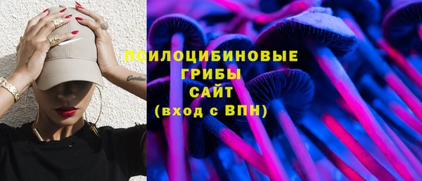 стафф Горно-Алтайск