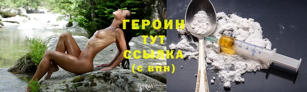 прущие грибы Горняк