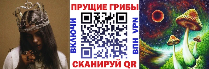 где продают   Окуловка  Псилоцибиновые грибы ЛСД 